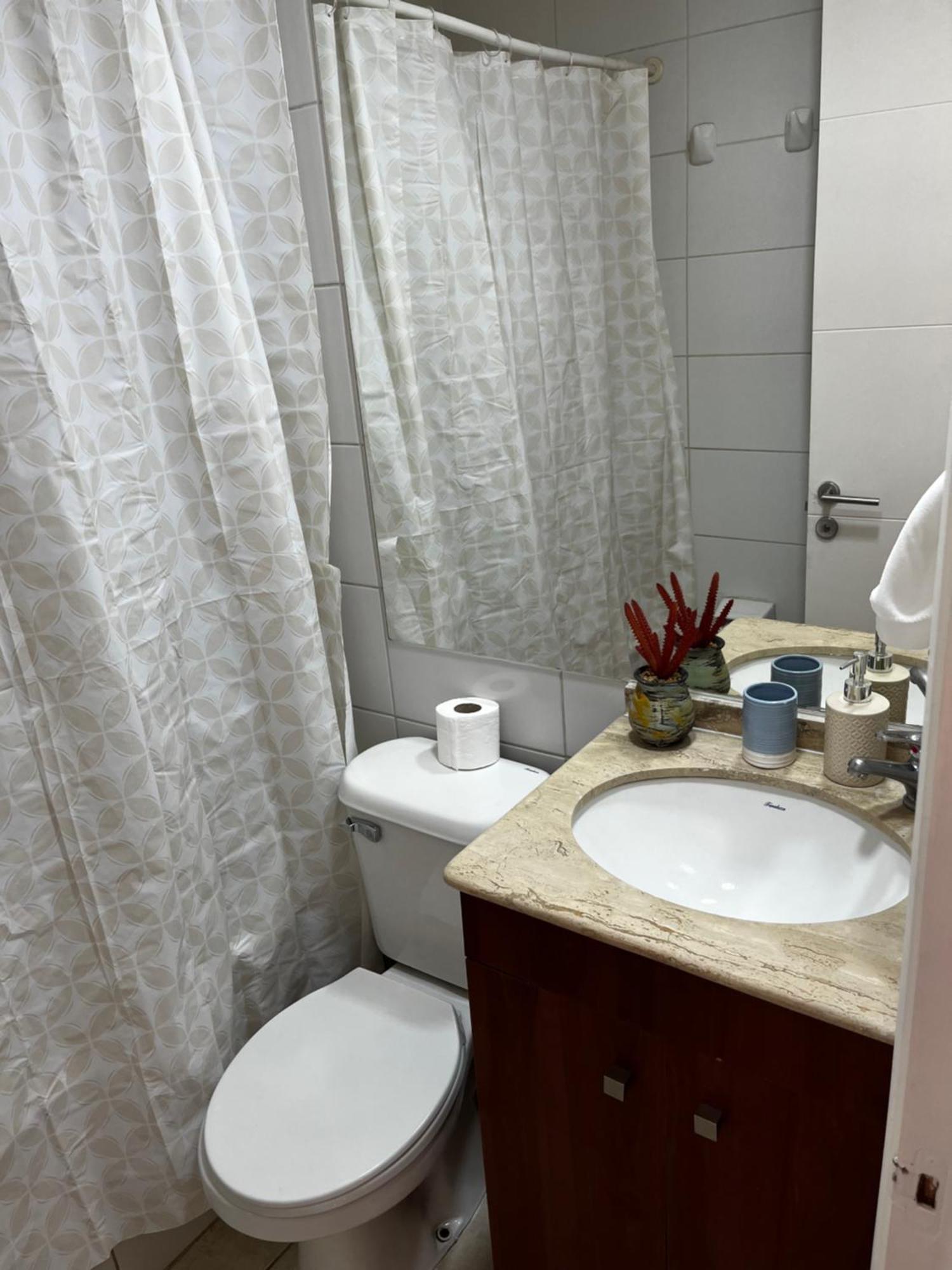 Urban Serenity Apartment Santiago