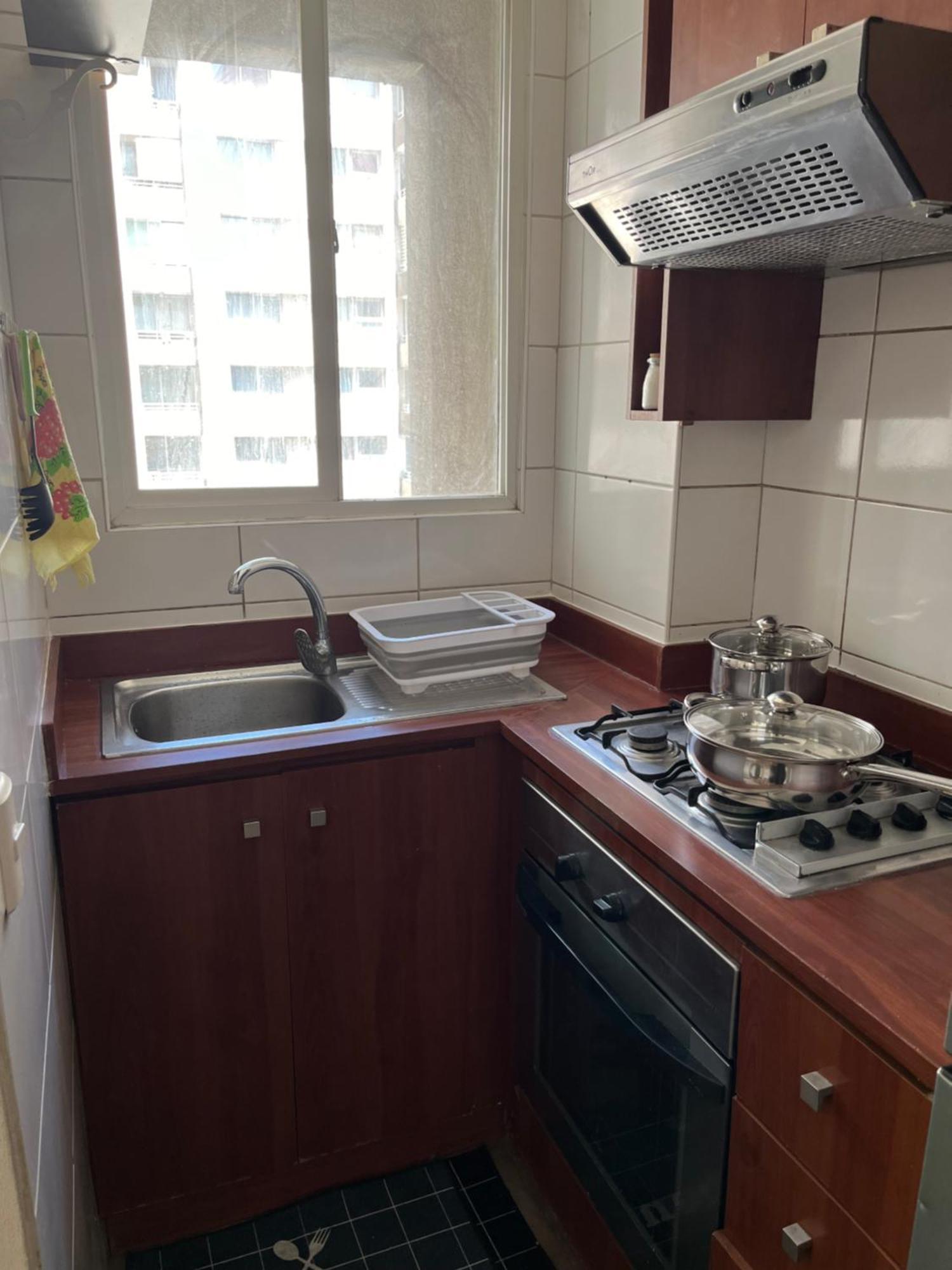 Urban Serenity Apartment Santiago
